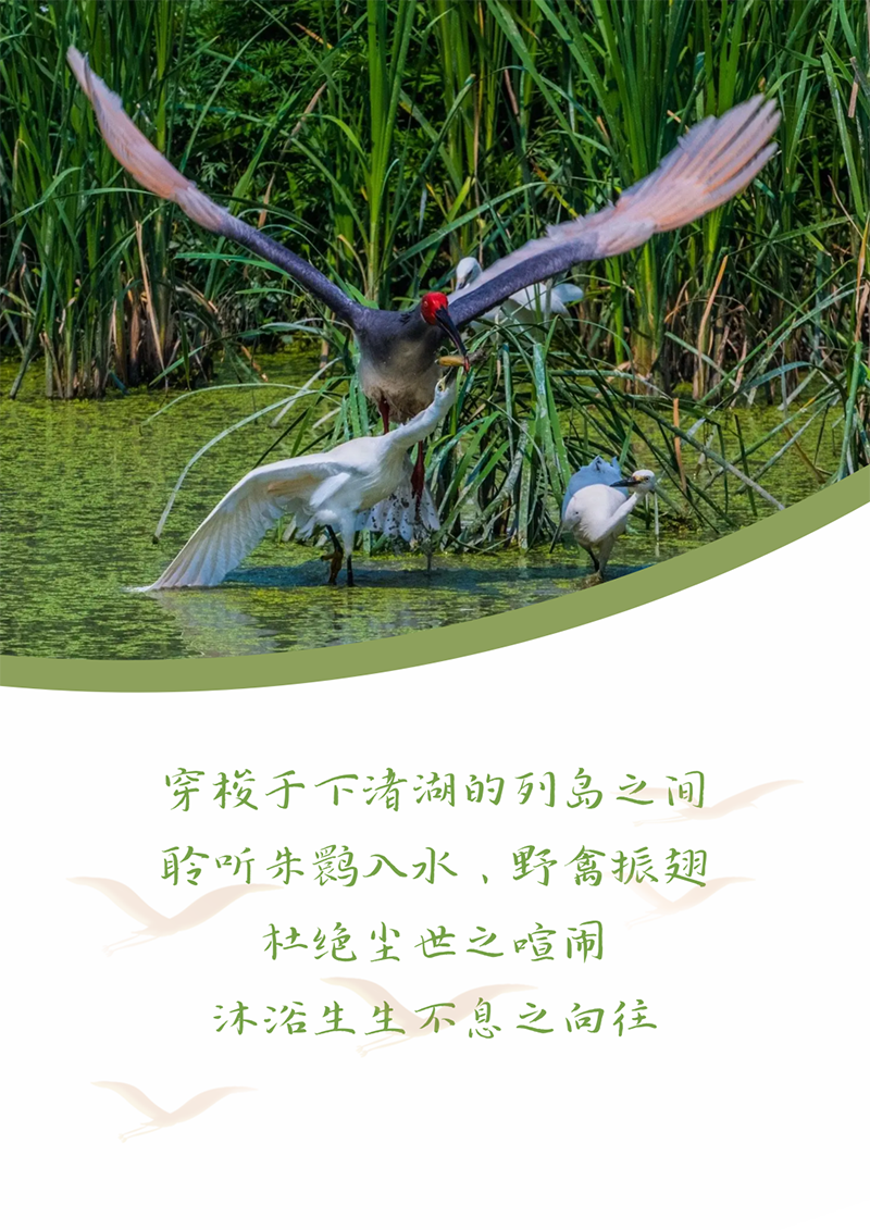 心心念廿 相伴jdb电子 | 与德清相约 贺廿载诞辰